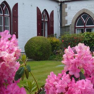 Undercliff Guest House Тринити Exterior photo