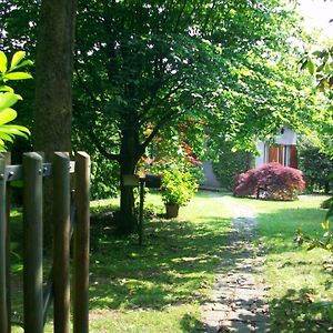 B&B L'Albero Maestro Orsenigo Exterior photo