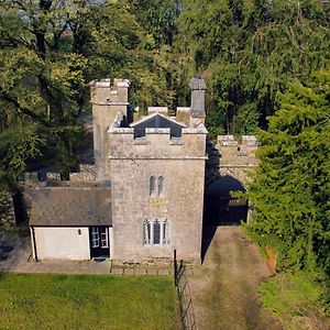 Вилла Anne'S Grove Miniature Castle Castletownroche Exterior photo