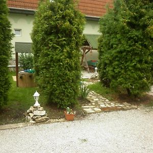 Bed and Breakfast Taltos Vendeghaz Сильвашварад Exterior photo