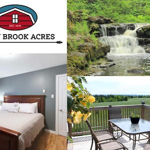 Отель Rocky Brook Acres Cormack Exterior photo