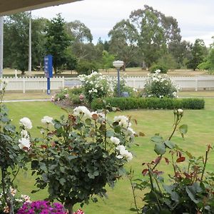 Culverden Court Motel Exterior photo