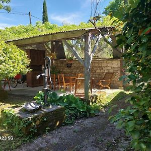 Вилла Au Coeur Des Chateaux Et Des Vignobles De La Loire Huismes Exterior photo