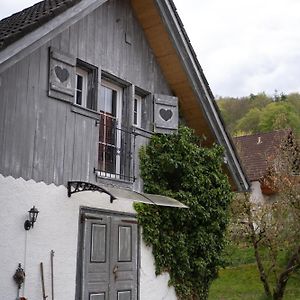 Вилла Wallys Huesli Im Schwarzwald Илинген-Биркендорф Exterior photo