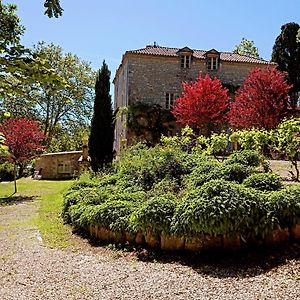 Bed and Breakfast La Maison Forte Montaut  Exterior photo