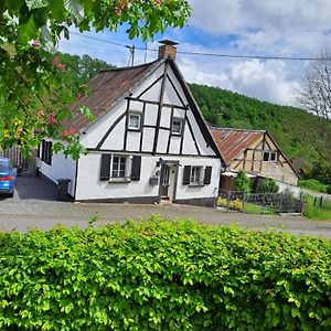 Вилла Landhaus Eifel Demerath Exterior photo