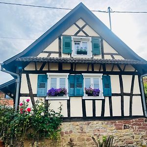 Вилла Chez Hanna Et Michel Morsbronn-les-Bains Exterior photo