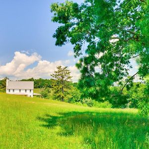 Timeless Hillsville Farmhouse Blue Ridge Parkway! Арарат Exterior photo