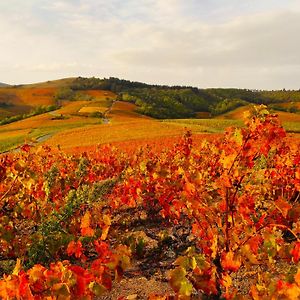 Вилла Le Panoramic Chiroubles Beaujolais Exterior photo