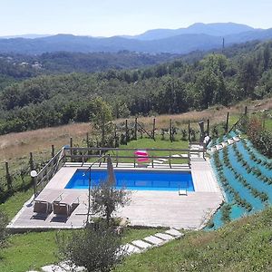 Апартаменты Podere Camino Villa Collemandina Exterior photo