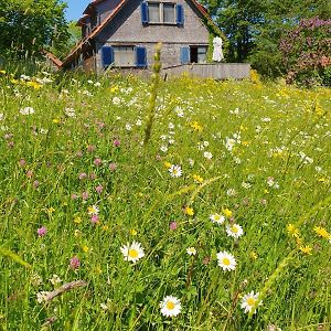 Вилла Rhoener Landhaus Mit Viel Flair Герсфельд Exterior photo