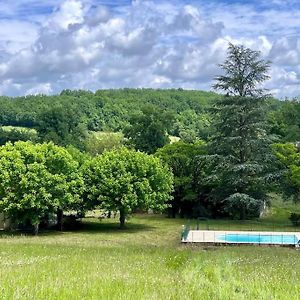 Вилла Cocon De Verdure Avec Piscine Privee Cuneges Exterior photo