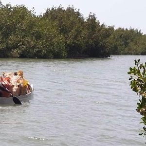 Bed and Breakfast Mangrove Beach Sanyang Exterior photo