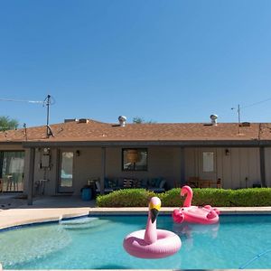 Вилла Paradise Palms - Heated Pool With Tons Of Space Скоттсдейл Exterior photo