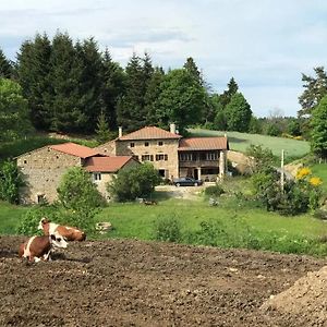 Вилла Maison Rustique Raffinee A Saint Hilaire Cusson La Valmitte Avec Paturages Exterior photo