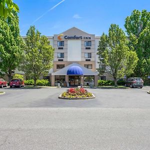 Comfort Inn Уайт-Ривер-Джанкшн Exterior photo