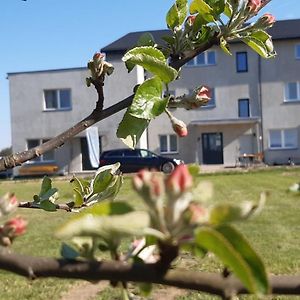 Noclegi Nad Biebrza Stara Szkola Wrocen Exterior photo