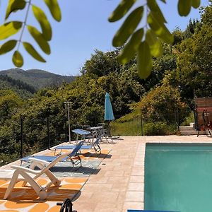 Вилла La Roseraie - Gite Avec Piscine En Cevennes Roquedur Exterior photo