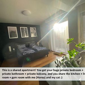 Funkadelic Retreat Transylvania, Private Room&Bath In Shared Apartment With Host&Cat Клуж-Напока Exterior photo