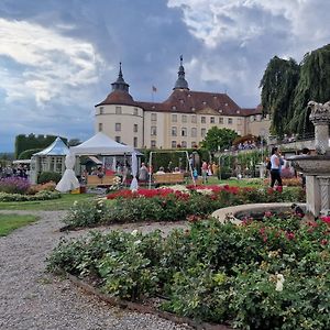 Апартаменты Hohenlohe -Residenz-Svetlana Лангенбург Exterior photo