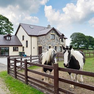 Вилла Groes Faen Bach Caerwys Exterior photo