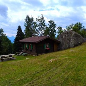 Апартаменты Chalet Al Sasso Da Pino, Telve Ospitar Exterior photo