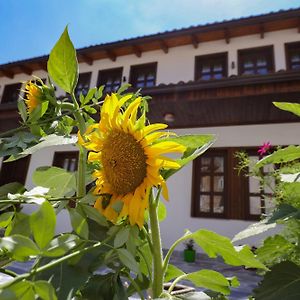 Отель The House Of Dollma , Inside Kruja Castle Exterior photo