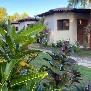 Room In Cabin - Cabana With Breakfast And Pool On The Beach Лас-Пеньитас Exterior photo