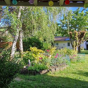 Bed and Breakfast Les Cedres Bleus Saint-Medard-de-Mussidan Exterior photo