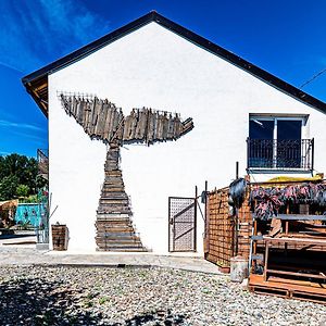 Bed and Breakfast Lusi E In Collina Cortandone Exterior photo