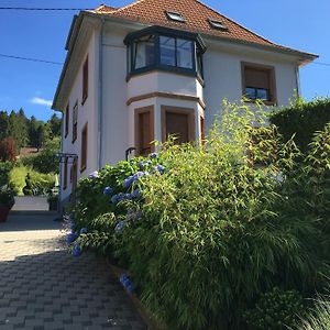 Апартаменты Les Hortensias En Alsace - Meuble De Tourisme 3 Etoiles Barembach Exterior photo