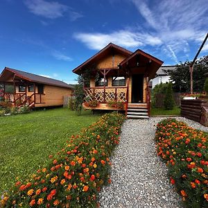 Вилла Baltina Parc Transfagarasan Куртя-де-Арджеш Exterior photo