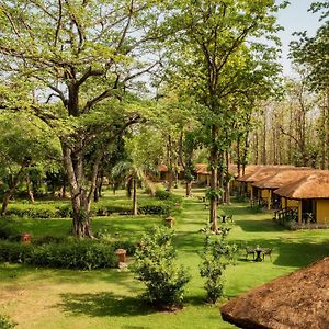 Вилла Bijrani Jungle Camp By Fairlink Рамнагар Exterior photo