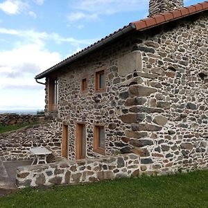 Вилла Charmante Maison Dans Les Gorges De La Loire Avec Terrasses Et Poele A Bois - Fr-1-582-319 Retournac Exterior photo