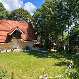 Вилла Mountain Vila In Ponikva Кочани Exterior photo