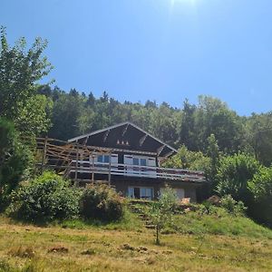 Апартаменты Le Chalet Des Amis Aurec-Sur-Loire Exterior photo