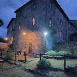 Апартаменты La Dolce Vita San Romano in Garfagnana Exterior photo