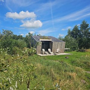 Вилла Tiny House De Wylp Westergeest Exterior photo