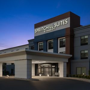 Springhill Suites By Marriott Grand Rapids Airport Southeast Каскейд Exterior photo