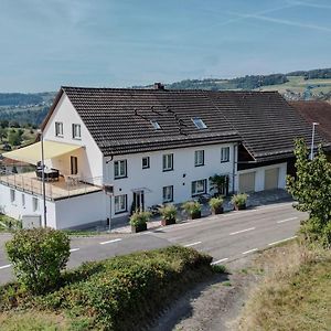 Familienfreundliche Wohnung Fuer 12 Und Mehr Gaeste, Nahe Zur Schweiz Вальдсхут-Тинген Exterior photo