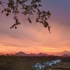 Отель The Bagheera Bagh Jawai Бера Exterior photo