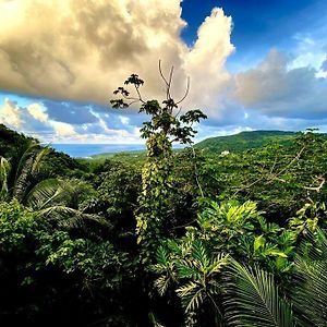 Вилла Magical San San Port Antonio Close To Blue Lagoon Frenchman'S Cove Exterior photo