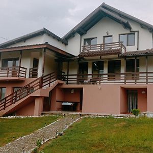 Отель Casa Din Deal Isverna Mehedinti Turtaba Exterior photo