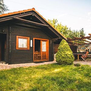 Вилла Utulny Srub Na Jihu Brna Zelesice Exterior photo