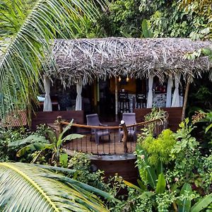 Custom Jungle Home By The Beach Бокас-дель-Торо Exterior photo