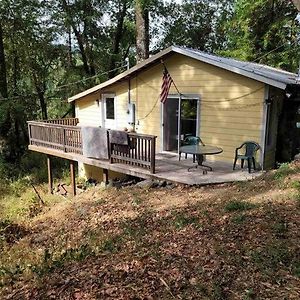 Вилла Cabin On Avenue Of The Giants Miranda Exterior photo