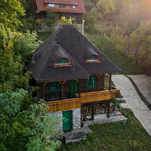 Вилла La Sat - Mandra Ioana Bertea Exterior photo