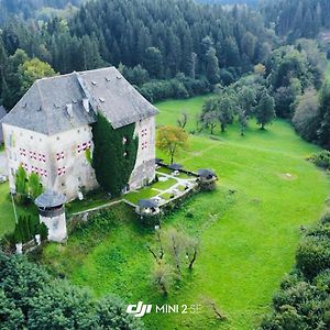 Отель Schloss Moosburg Gaestehaus Exterior photo