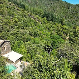 Вилла La Clede Avec Sa Piscine Privee Saumane Exterior photo