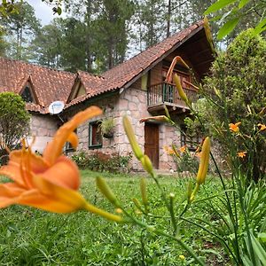 Вилла El Chalet Валье-де-Анхелес Exterior photo